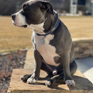 Meet your Posher, Mandy